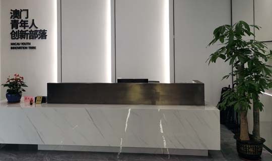 增城新塘全区绿植盆栽销售批发，免费配送上门